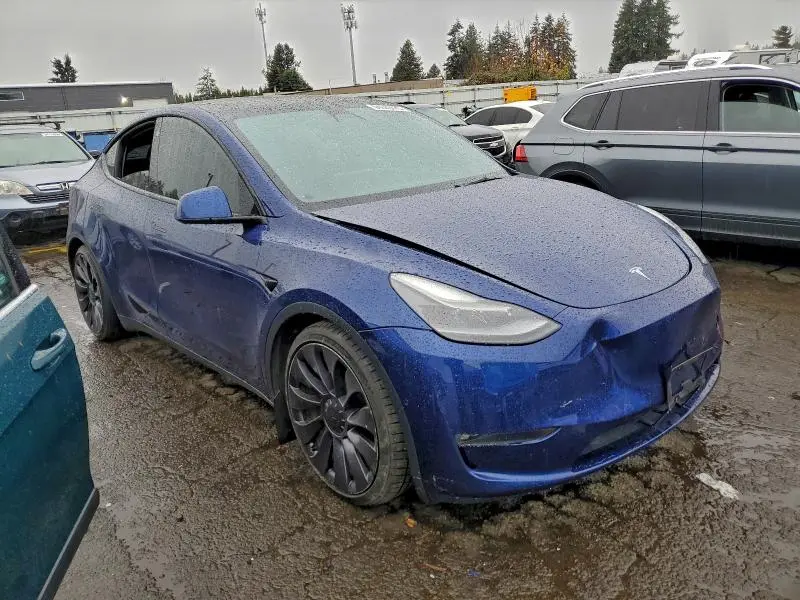 2021 TESLA MODEL Y   
