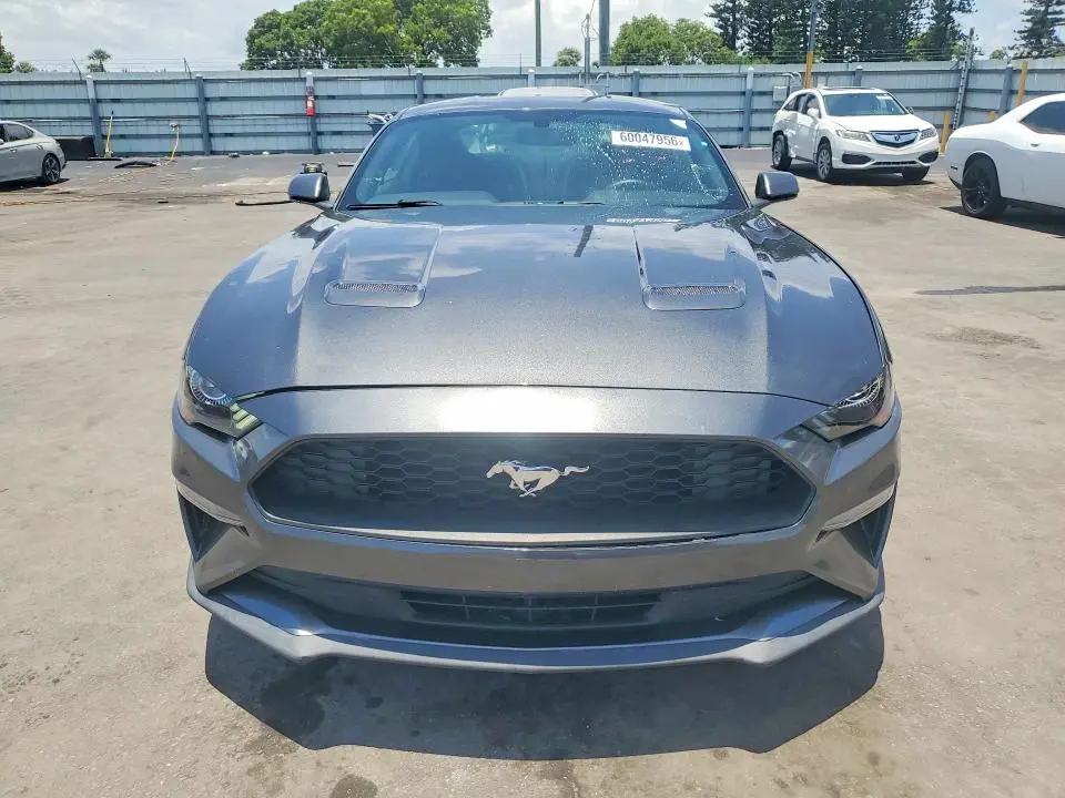 2019 FORD MUSTANG   
