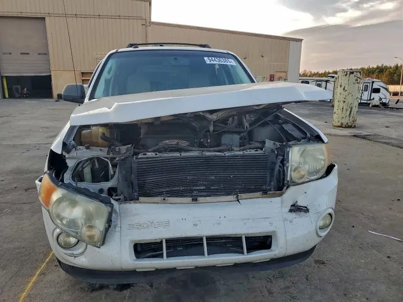 2010 FORD ESCAPE XLT  