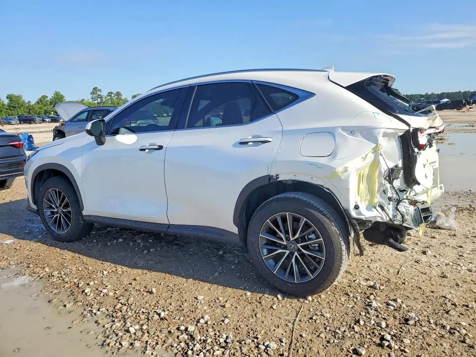 2025 LEXUS NX   