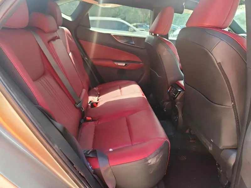 2024 LEXUS NX 250 BASE  