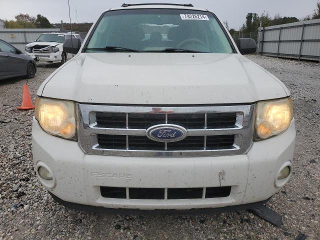 2010 FORD ESCAPE XLT