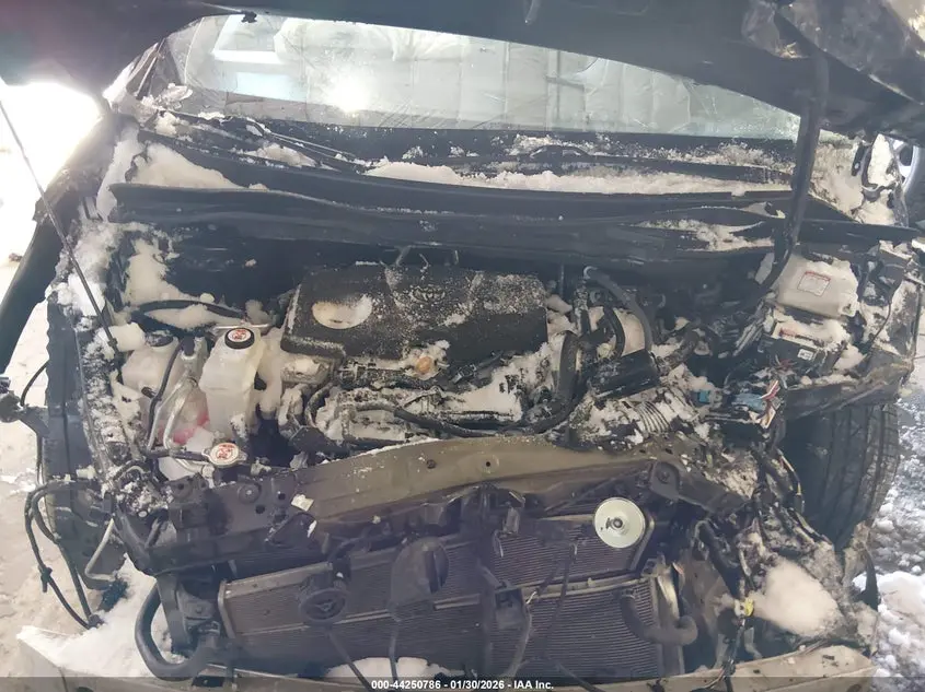 2023 TOYOTA SIENNA LE