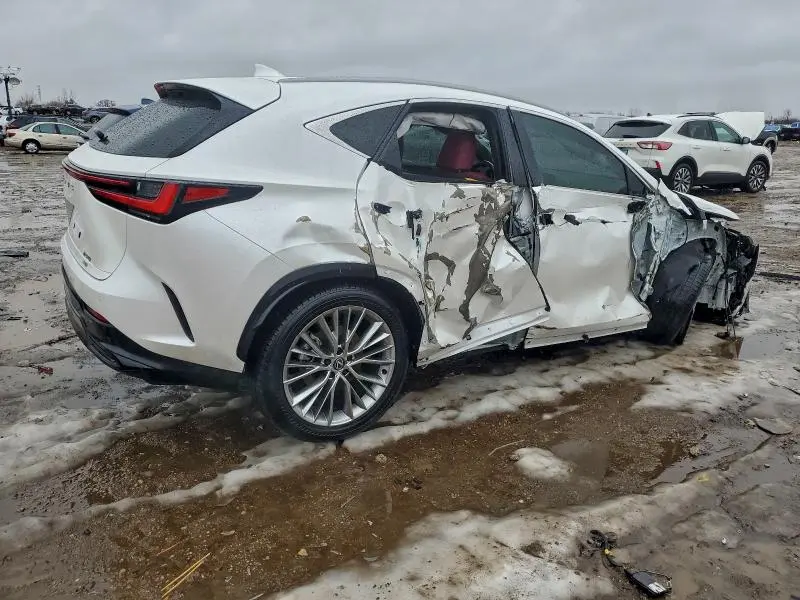 2024 LEXUS NX 350 LUXURY  
