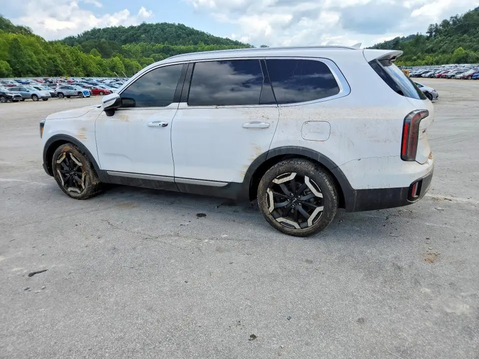 2025 KIA TELLURIDE EX  