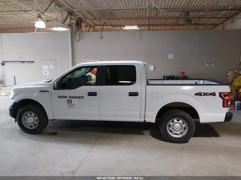 2017 FORD F-150 XL