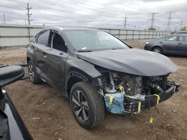 2020 LEXUS NX 300H
