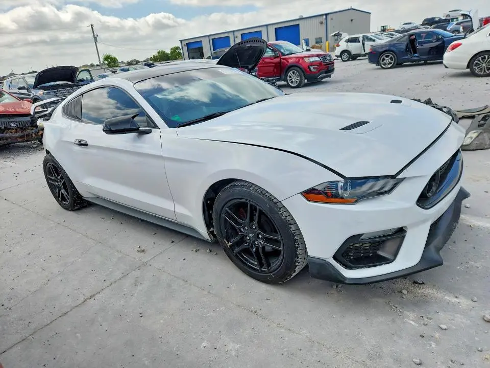 2019 FORD MUSTANG   