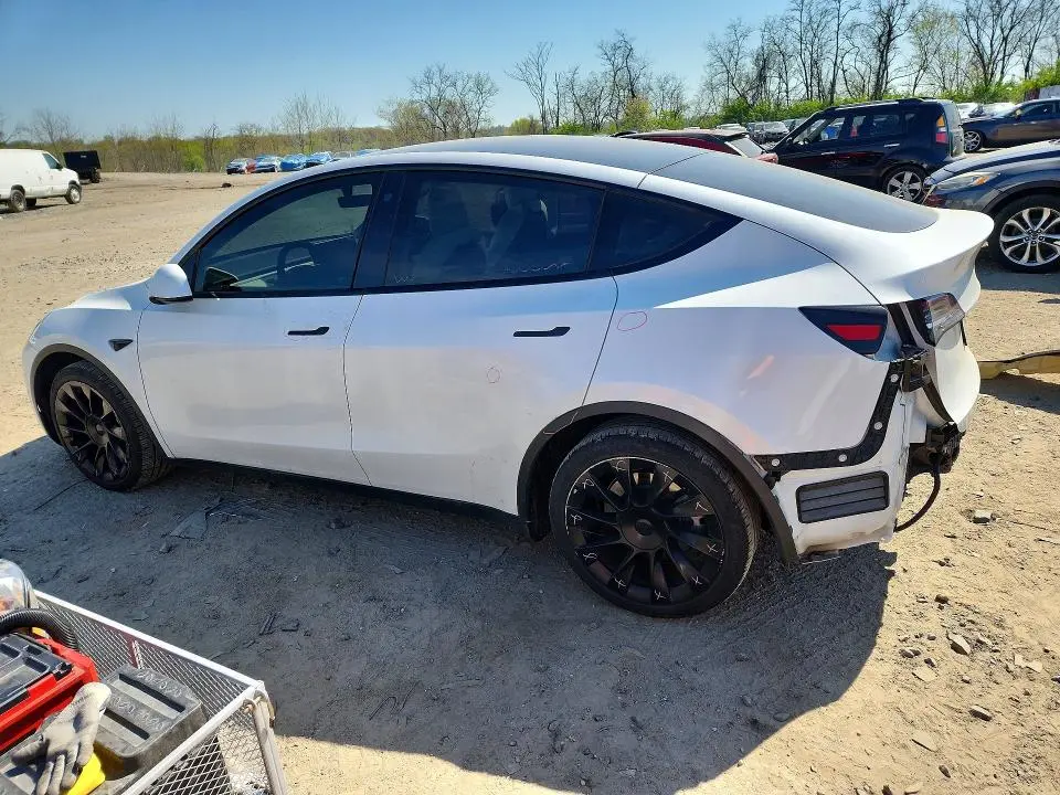 2021 TESLA MODEL Y   