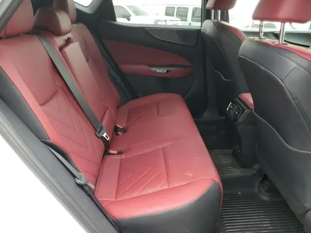 2024 LEXUS NX 350 LUXURY  