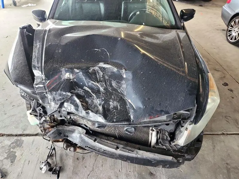 2010 HONDA ACCORD EXL  