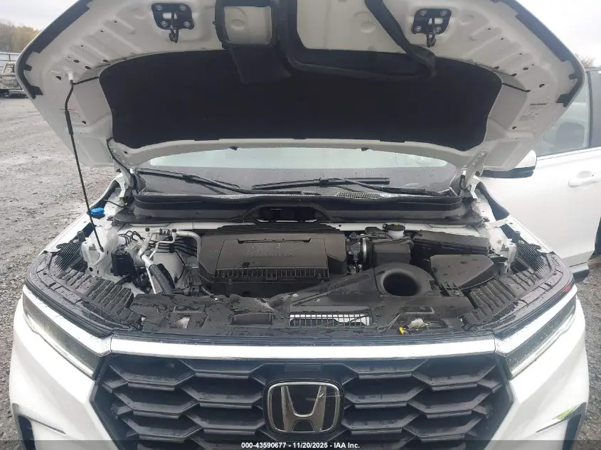 2025 HONDA PILOT EX-L