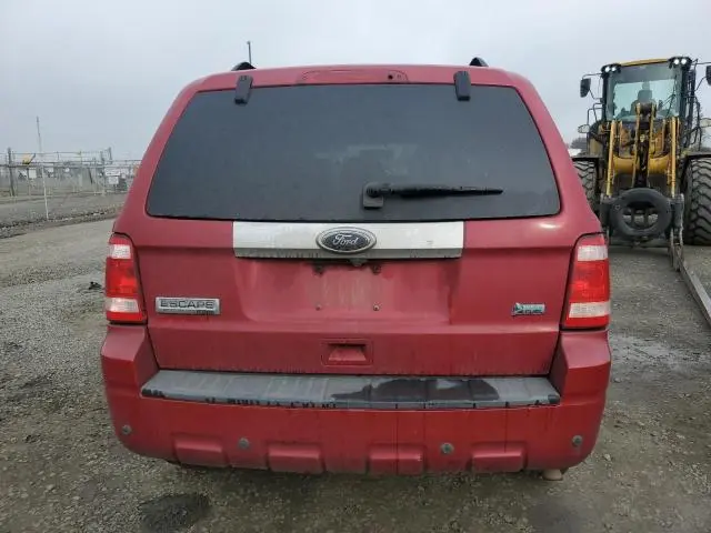 2010 FORD ESCAPE LIMITED  