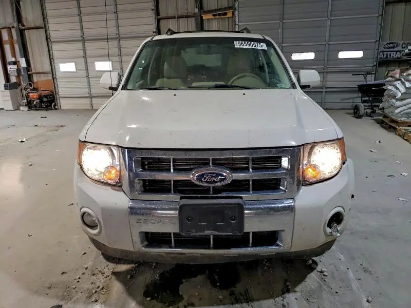 2010 FORD ESCAPE LIMITED  