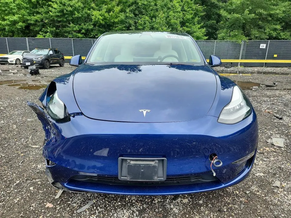 2021 TESLA MODEL Y   