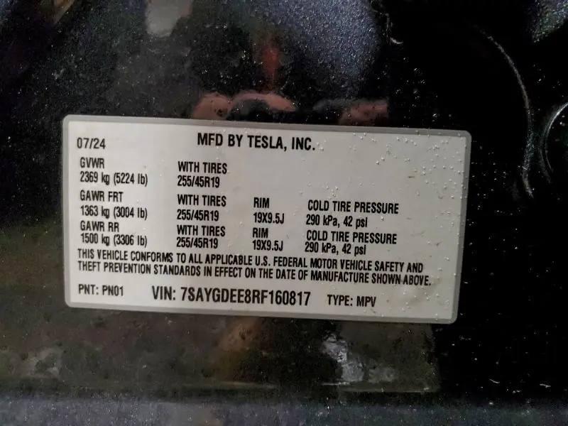 2024 TESLA MODEL Y   
