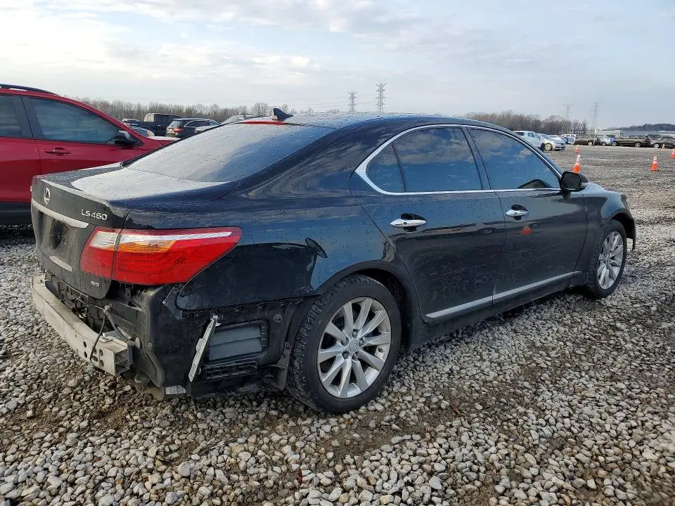 2010 LEXUS LS 460  