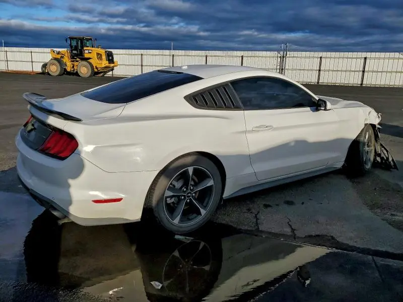 2019 FORD MUSTANG   