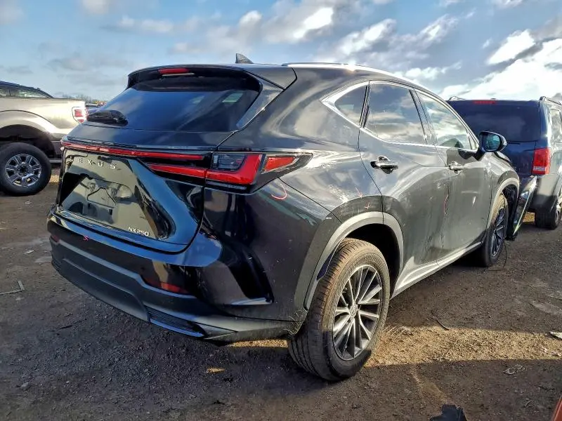2022 LEXUS NX 250  