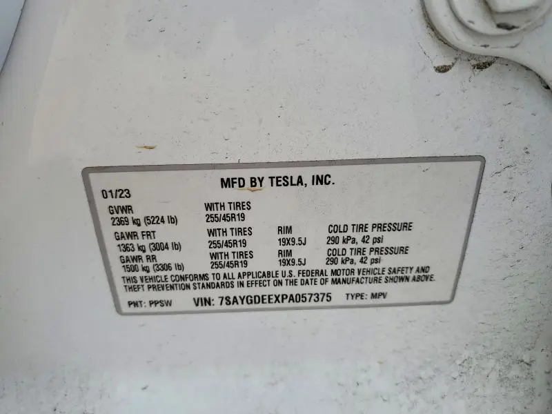 2023 TESLA MODEL Y   
