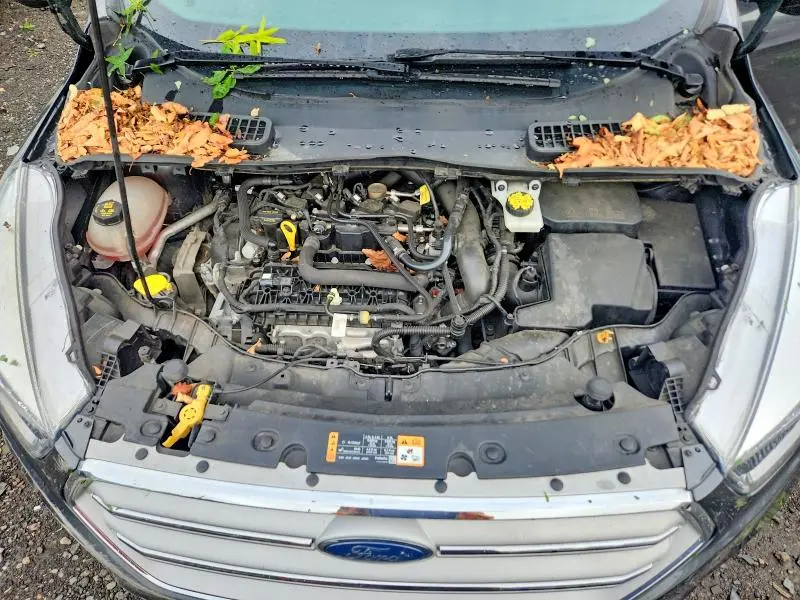 2019 FORD ESCAPE SE  