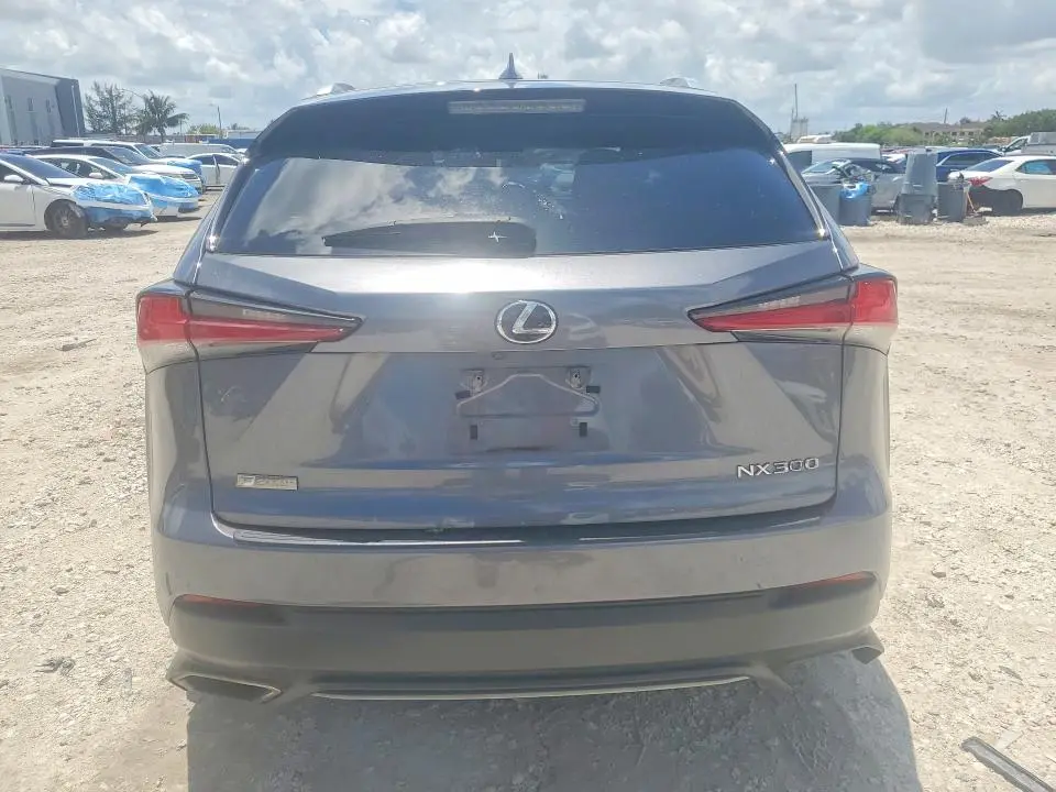 2019 LEXUS NX 300 F SPORT  