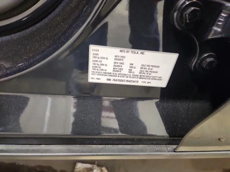 2024 TESLA MODEL Y   