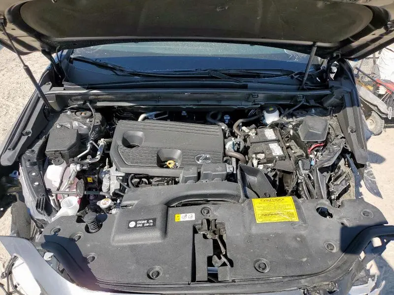 2025 LEXUS NX 250 BASE  