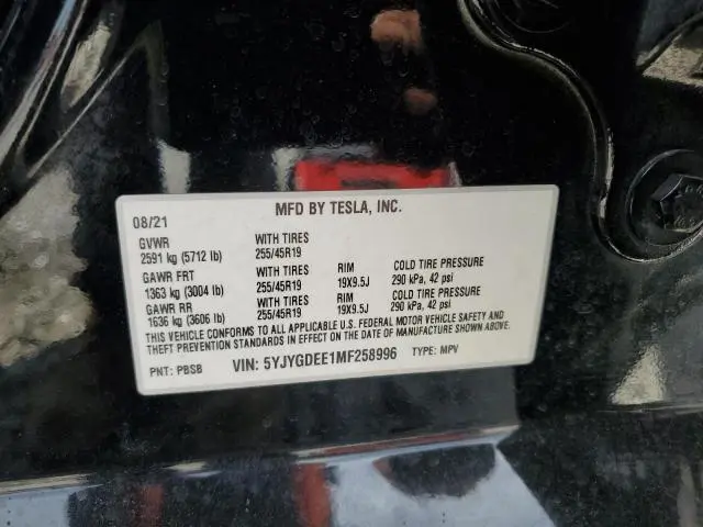 2021 TESLA MODEL Y   