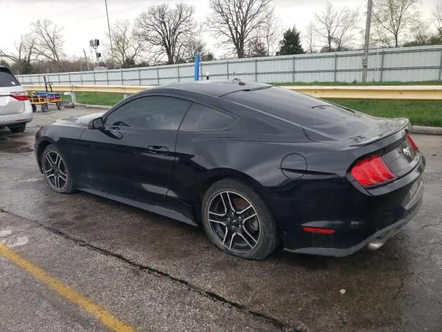 2019 FORD MUSTANG   