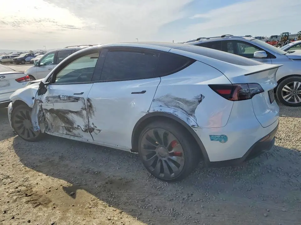 2023 TESLA MODEL Y   