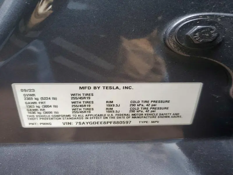 2023 TESLA MODEL Y   