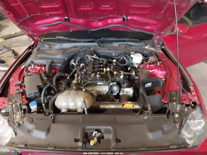 2020 FORD MUSTANG ECOBOOST FASTBACK