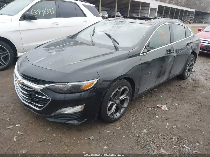 2023 CHEVROLET MALIBU FWD 1LT
