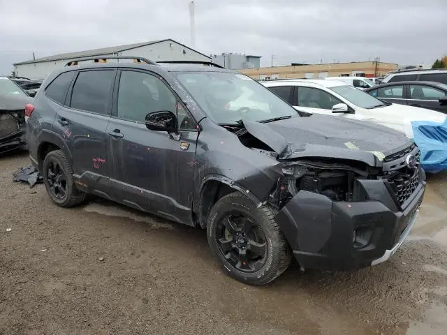 2024 SUBARU FORESTER WILDERNESS  