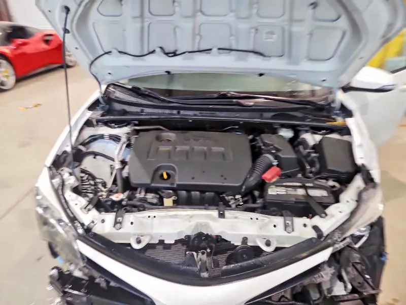 2019 TOYOTA COROLLA SE  