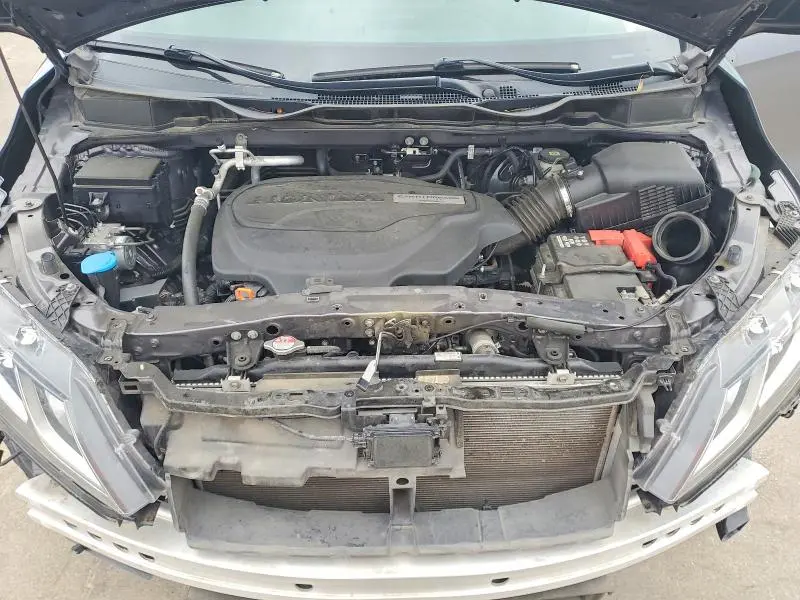 2019 HONDA ODYSSEY EXL  
