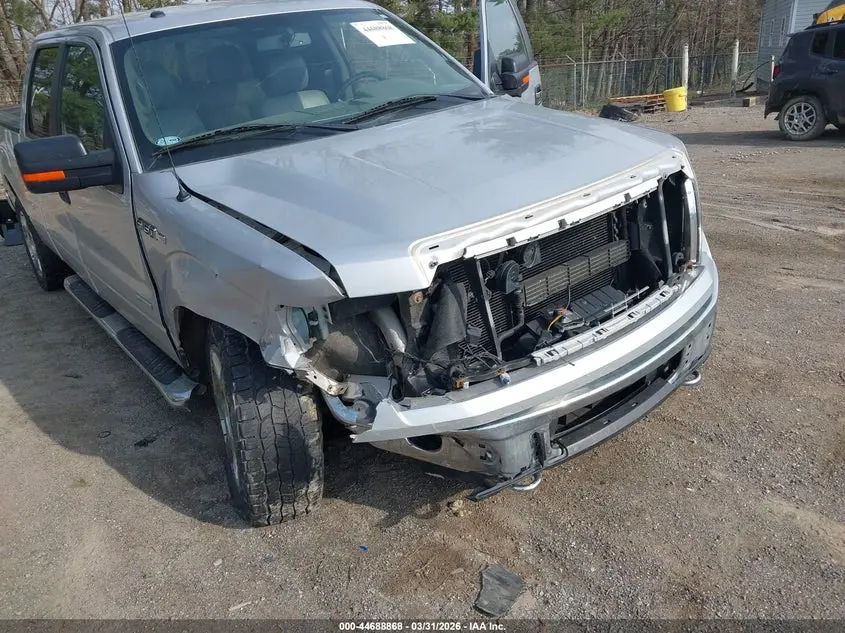2014 FORD F-150 XLT