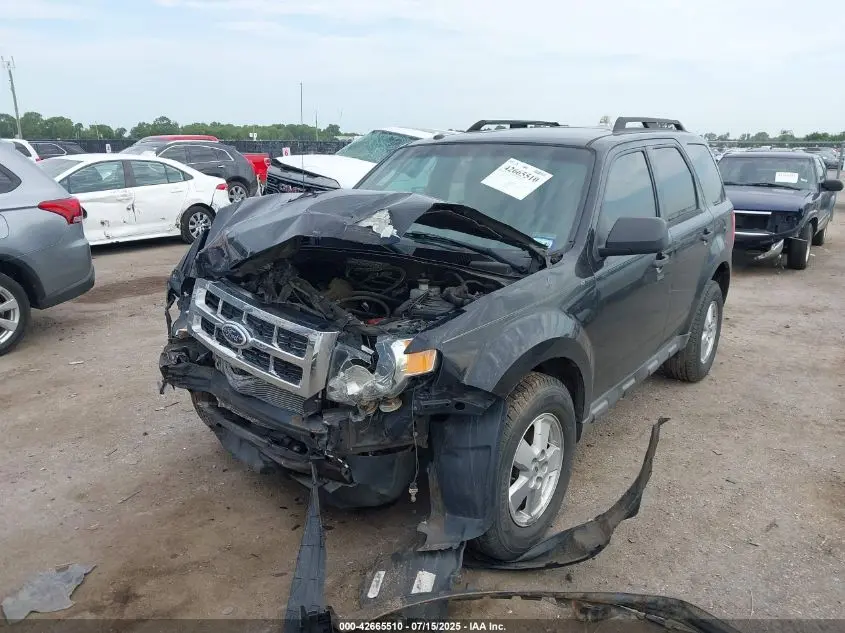 2010 FORD ESCAPE XLT