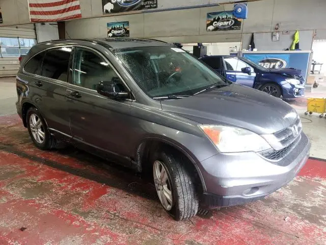 2010 HONDA CR-V EX  