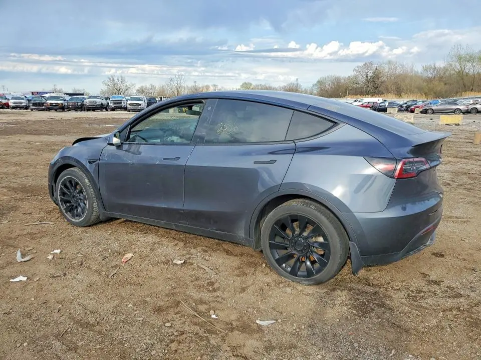 2021 TESLA MODEL Y   
