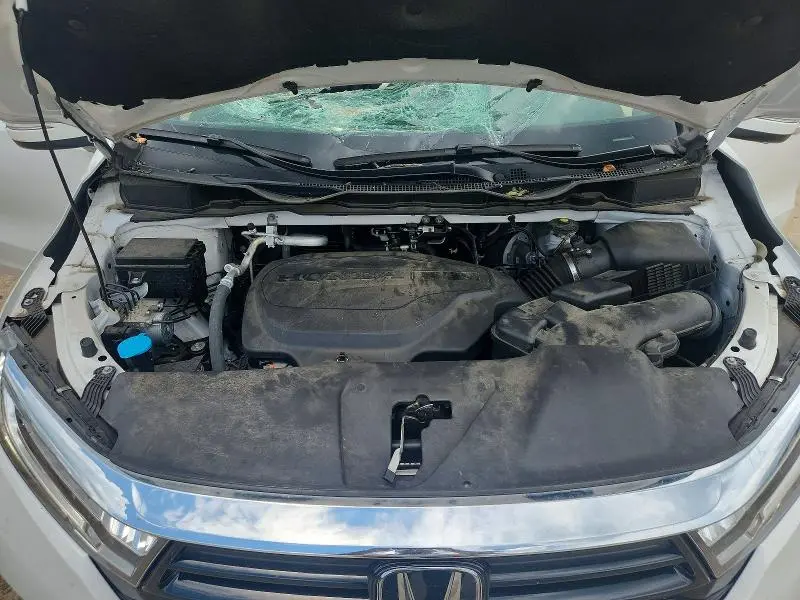 2024 HONDA ODYSSEY EXL  