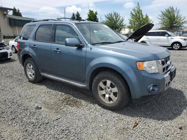 2011 FORD ESCAPE LIMITED  