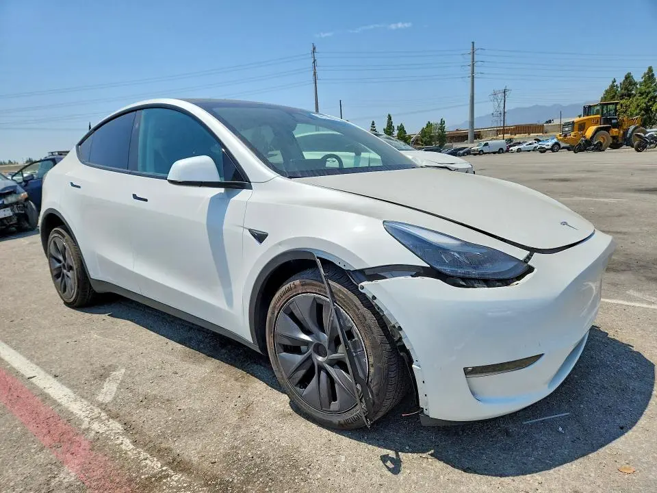 2025 TESLA MODEL Y   