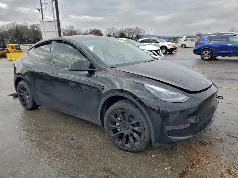2025 TESLA MODEL Y   