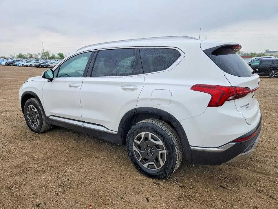 2021 HYUNDAI SANTA FE BLUE  
