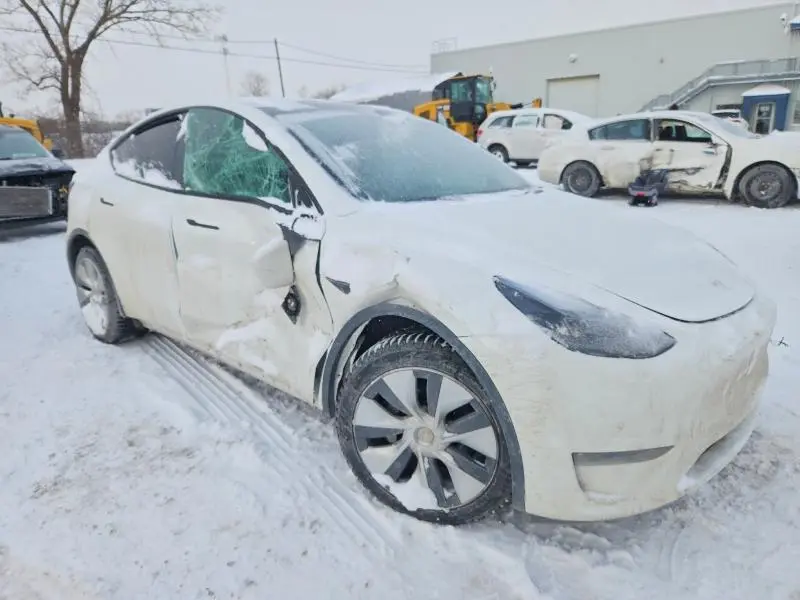2021 TESLA MODEL Y   