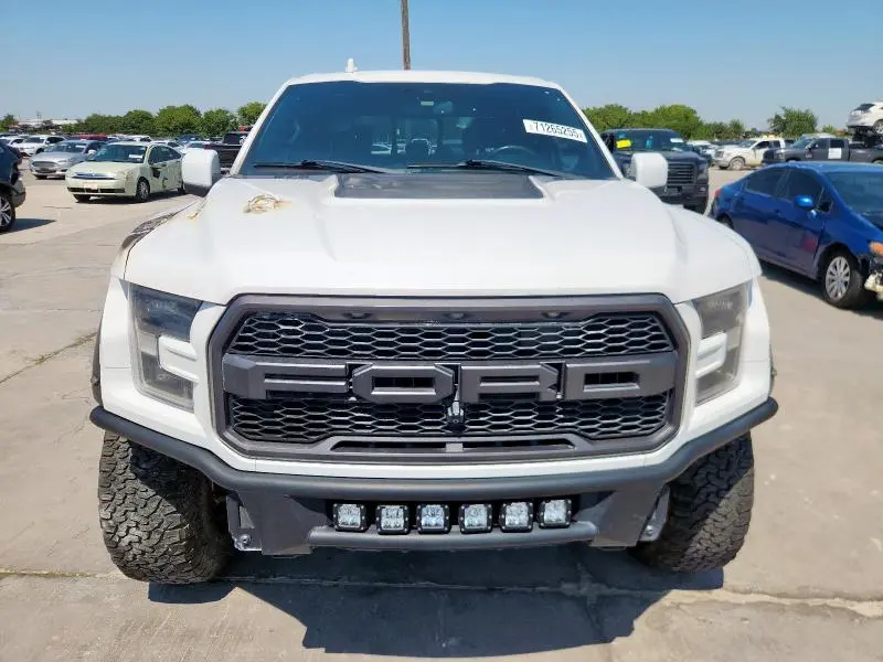 2019 FORD F150 RAPTOR  
