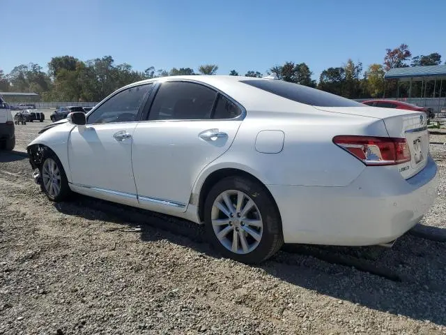 2010 LEXUS ES 350  
