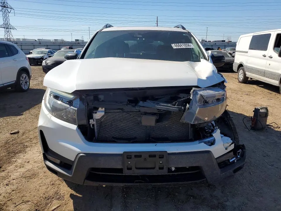 2023 HONDA PASSPORT ELITE  